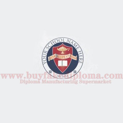 Diploma seal design icon template 6