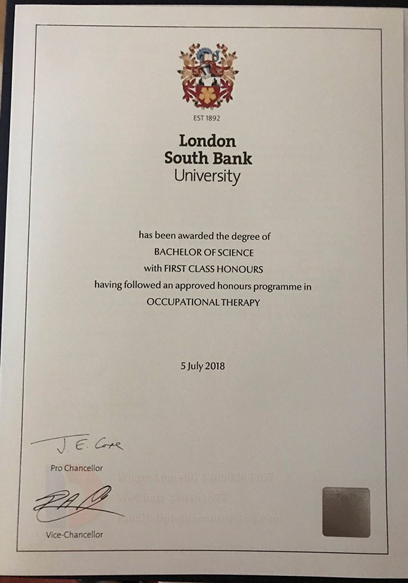 2018 Master's Degree in Occupational Therapy at London South Bank University