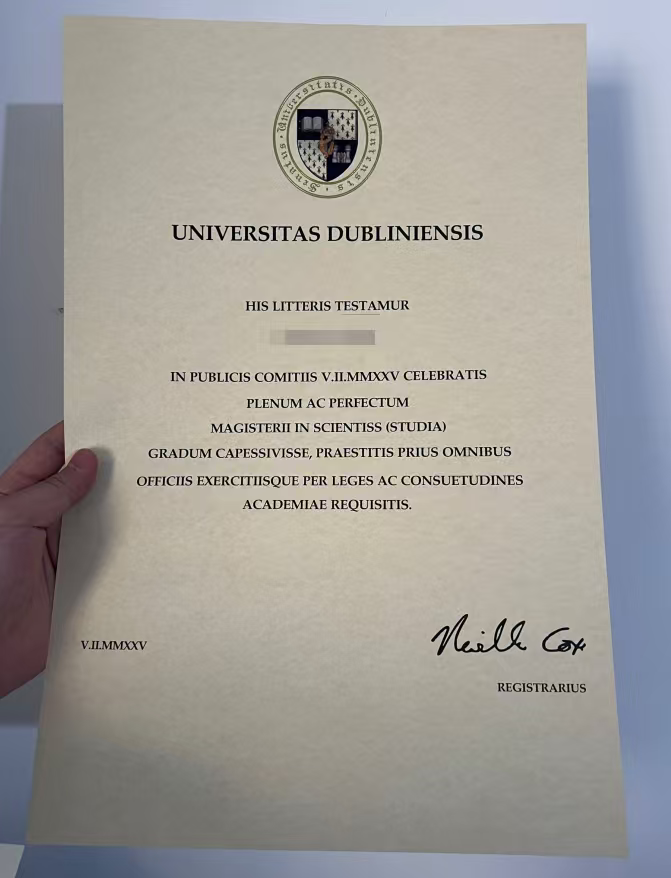 University of Dublin degree Sample
