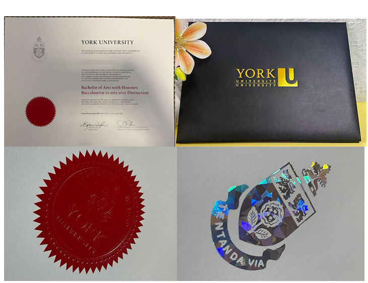 York University degree sample