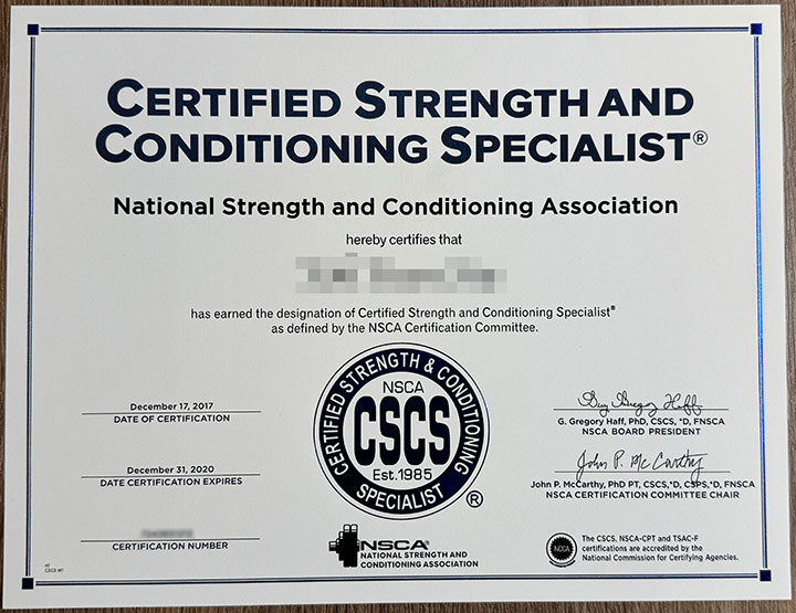 cscs certificate samples