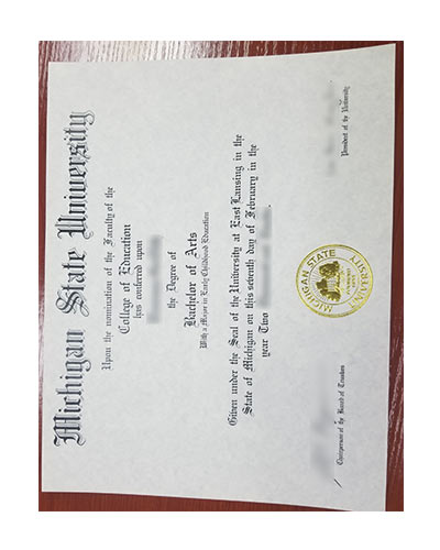 Where to buy a Michigan State University fake degree Online