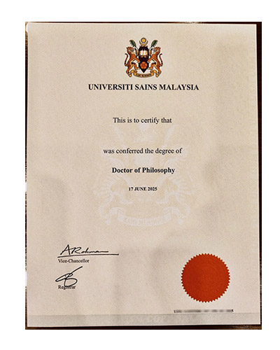 Where can I purchase a USM degree?