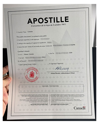 What is a Hague certification?Example of Hague Certification